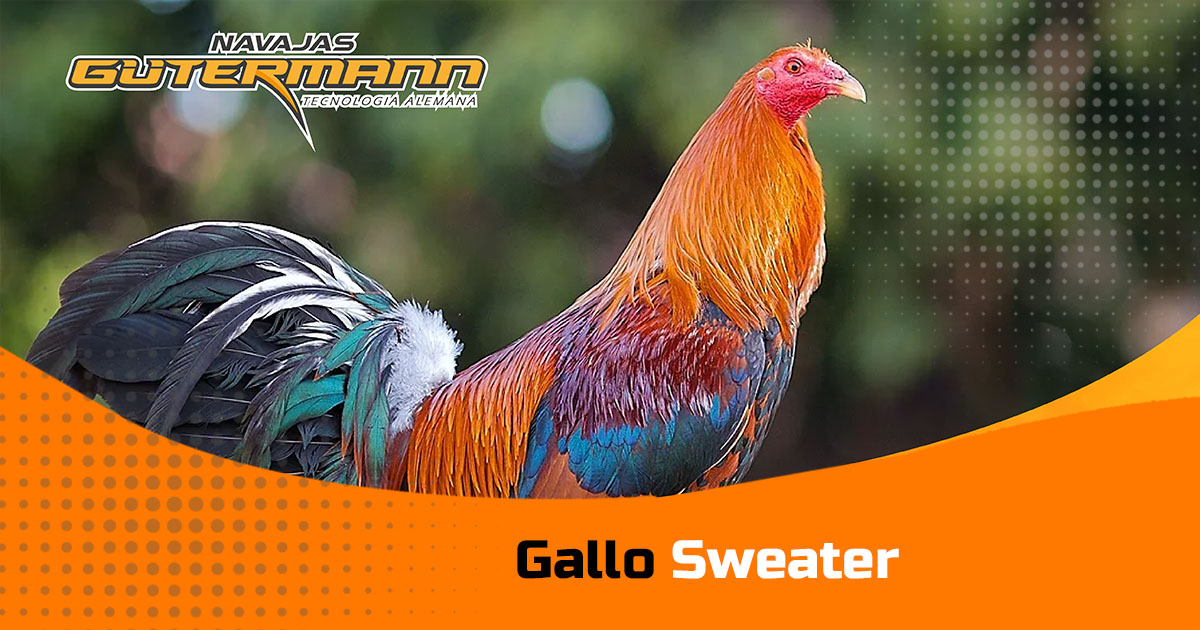 gallo-sweater